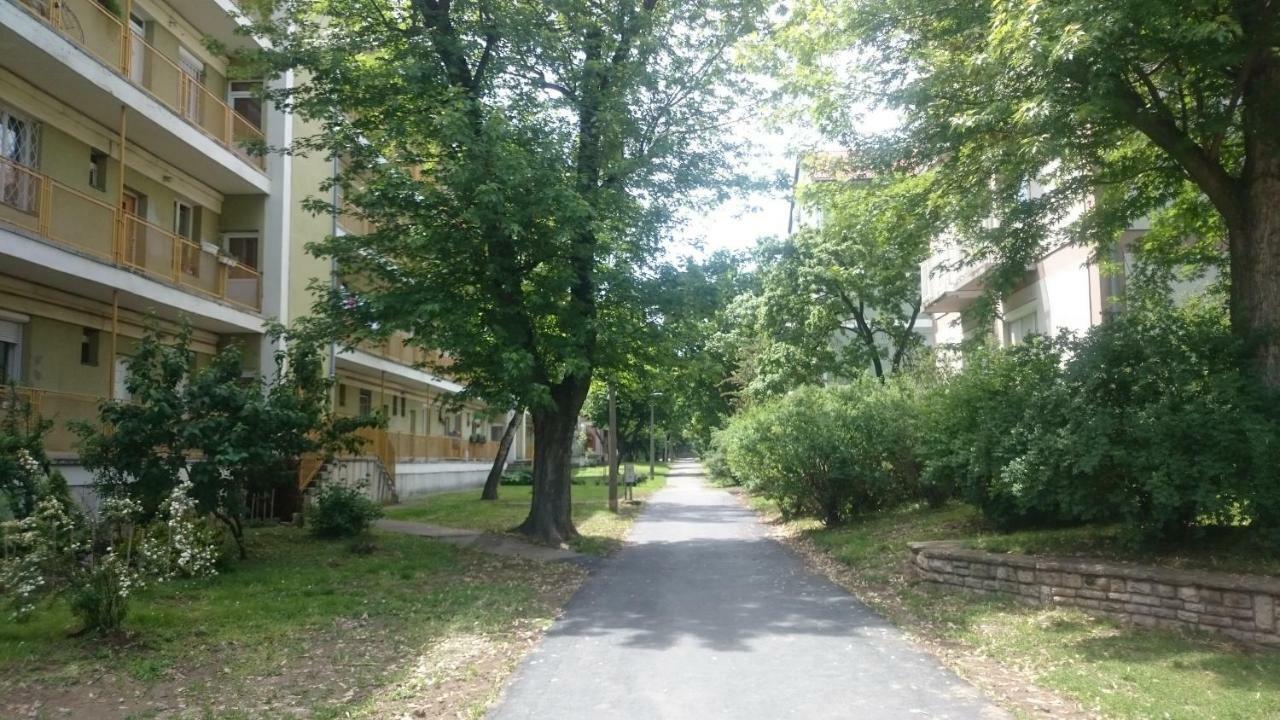 Koroesi Apartman ペーチ エクステリア 写真